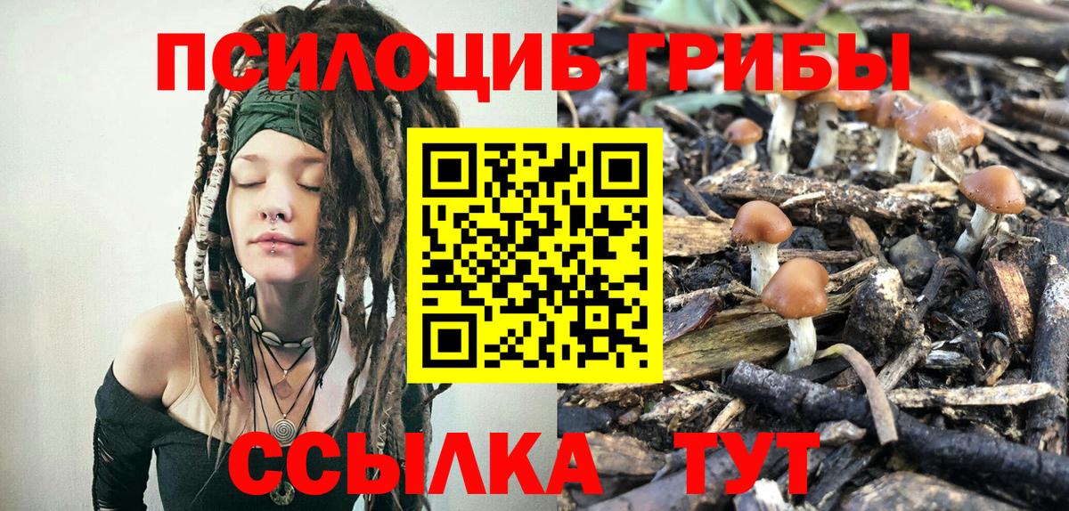 Псилоцибиновые грибы прущие грибы  Галлюциногенные грибы Magic Shrooms  Вход с VPN  Унеча 